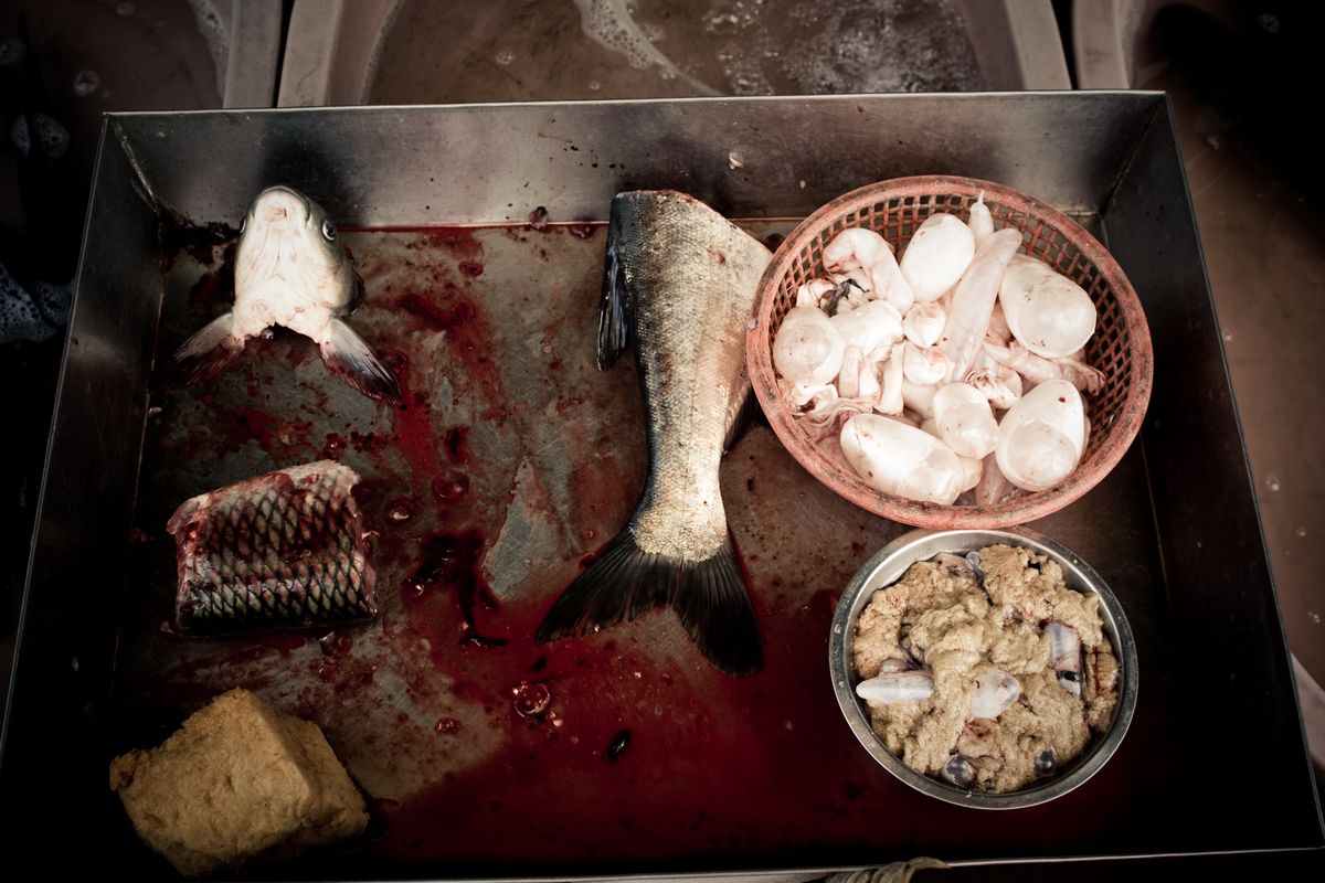 Fish Market, Shanghai