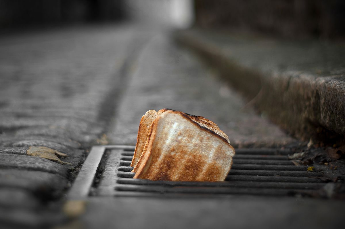 Toast coming from drain...eating in the street 