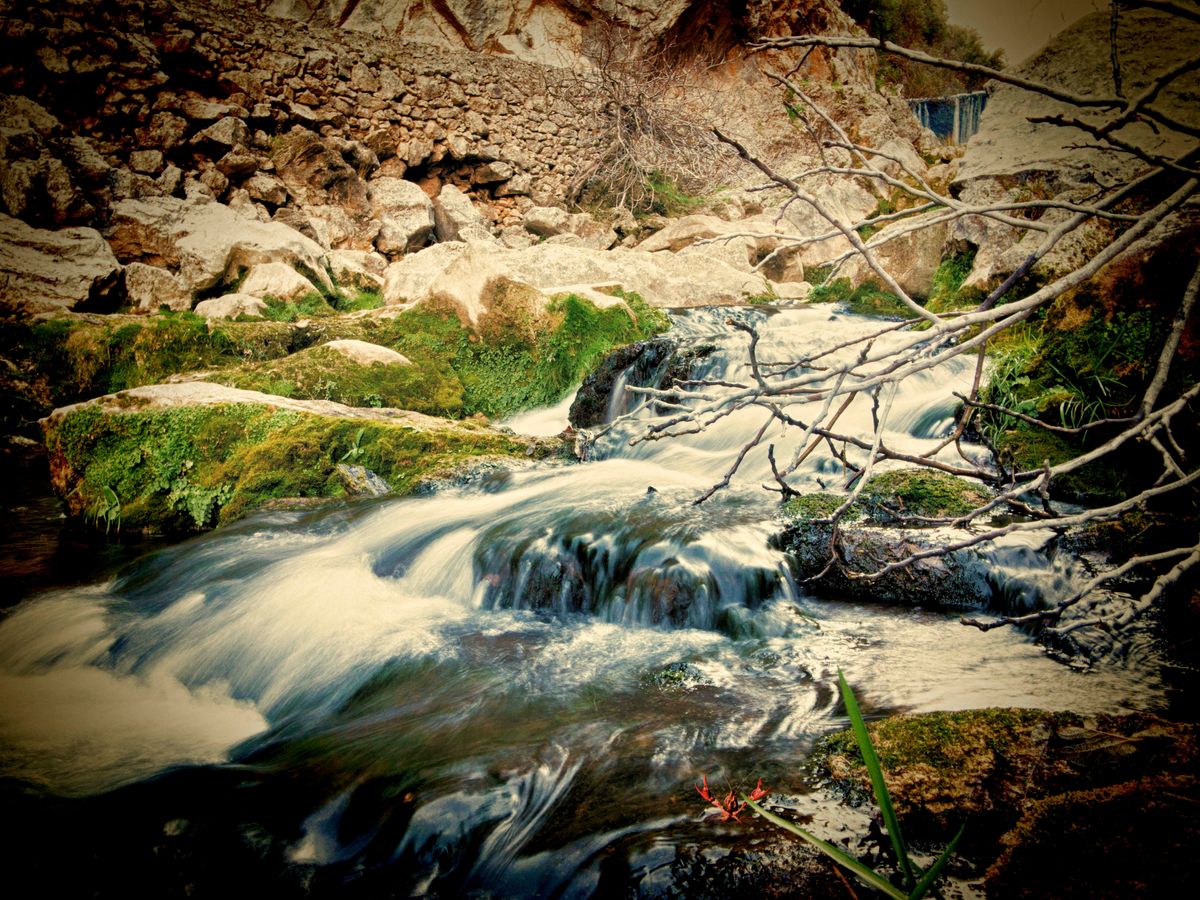 Vivir en el río