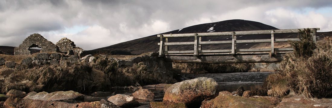 Bridge over the stream