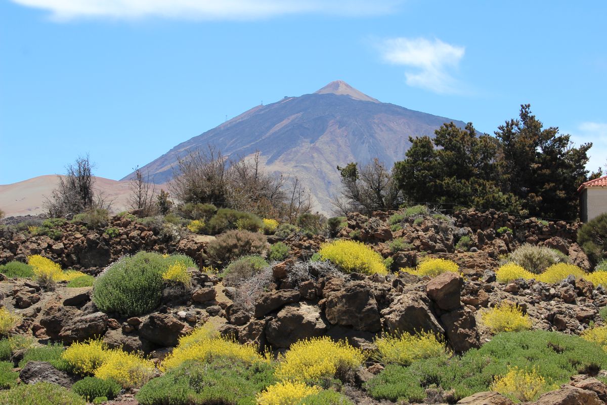 Nationalpark Teide