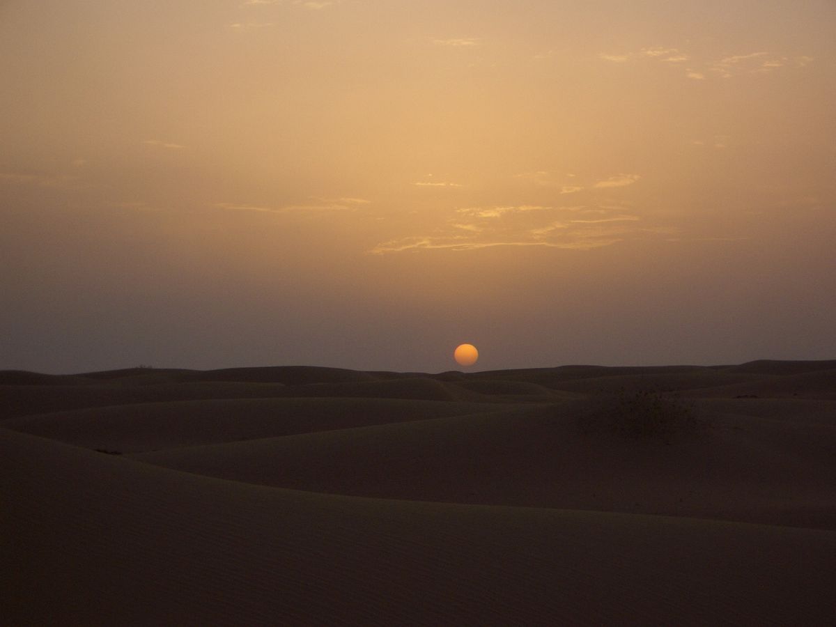 Desert Sunset