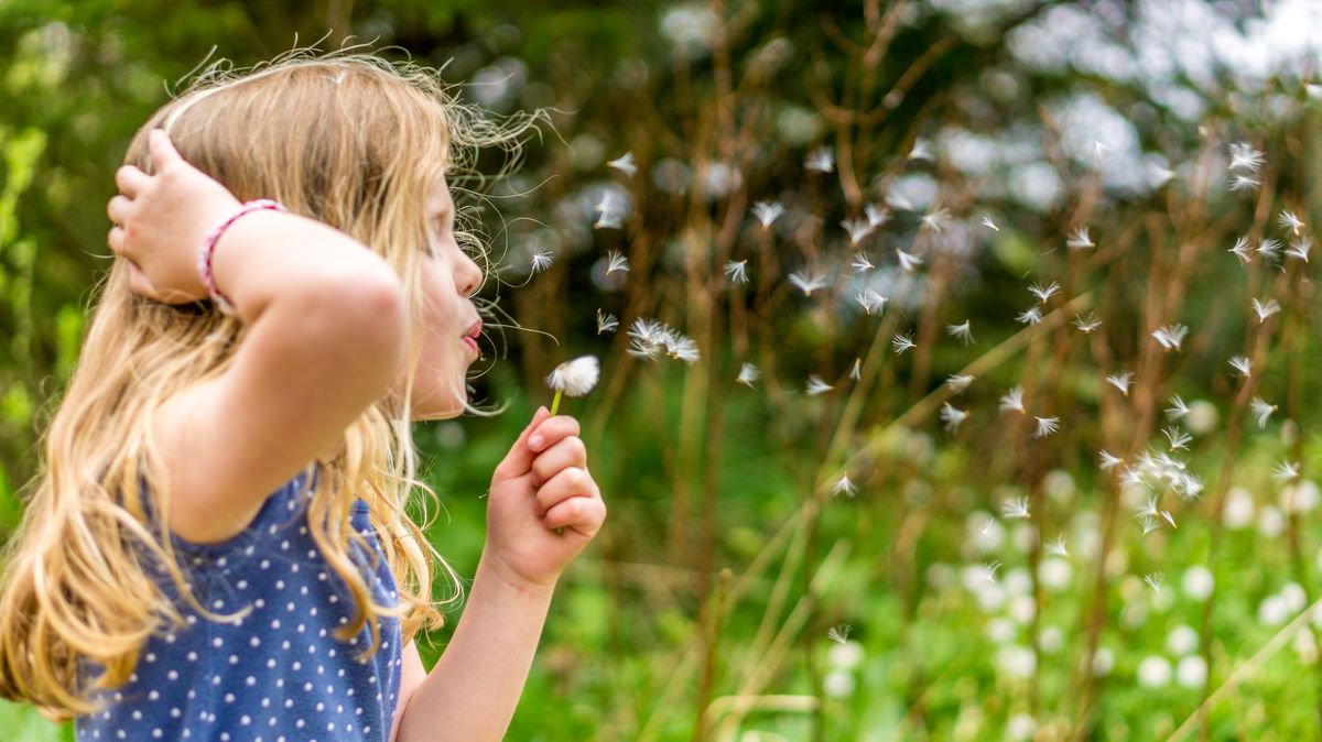 A girl blowing a dandelion clock