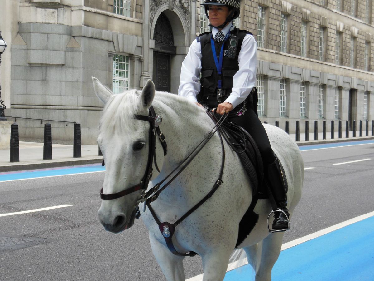 A mounted police officer on a London street.