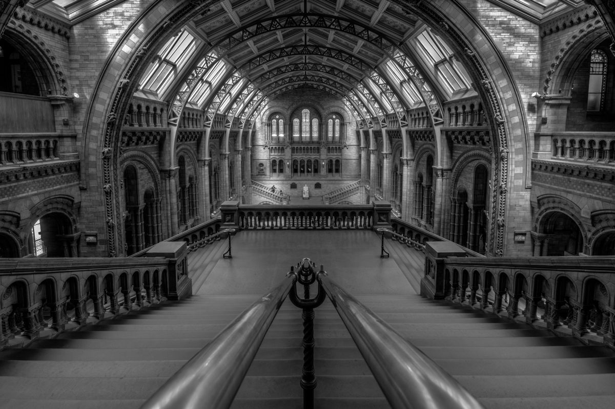 Natural History Museum in Londen. 