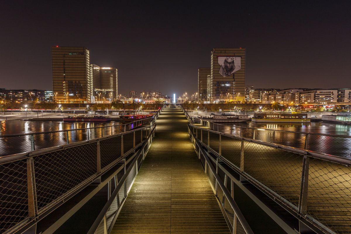 Passerelle Simone de Beauvoir et la BNF