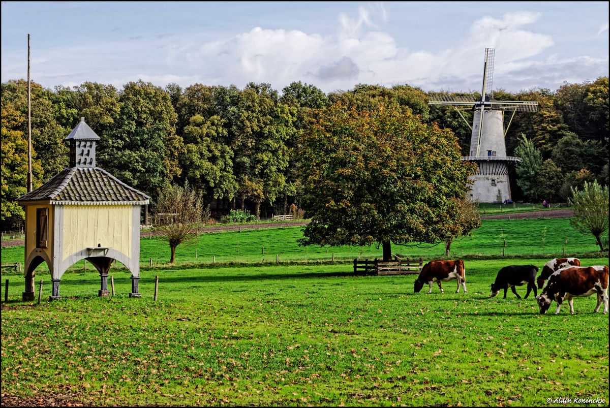 Openluchtmuseum