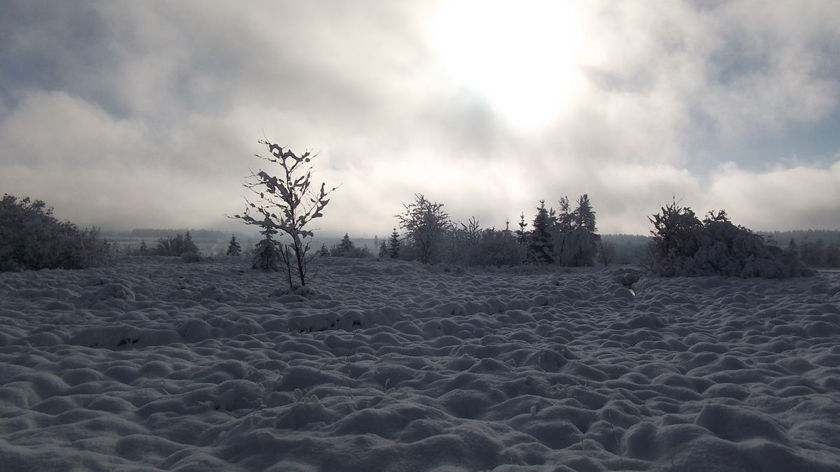 Première neige