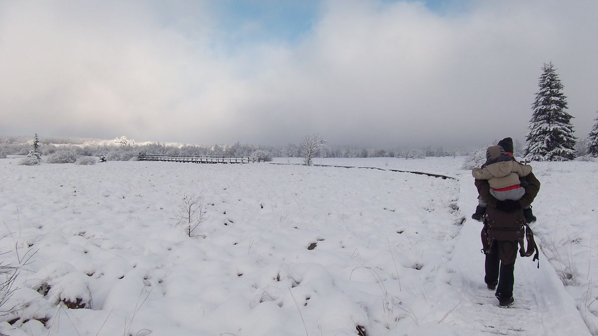 Première neige