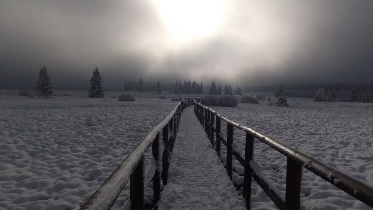 Première neige