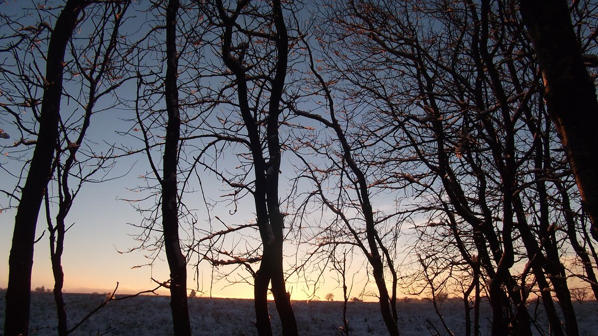 Première neige