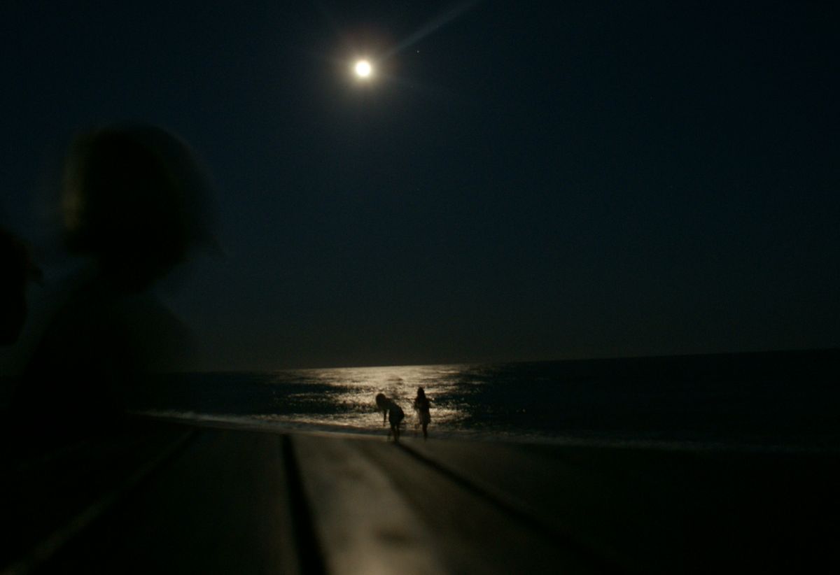 Moonlight