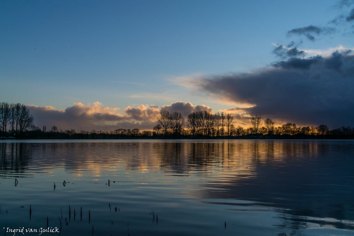 Meers Plas in Den Dungen