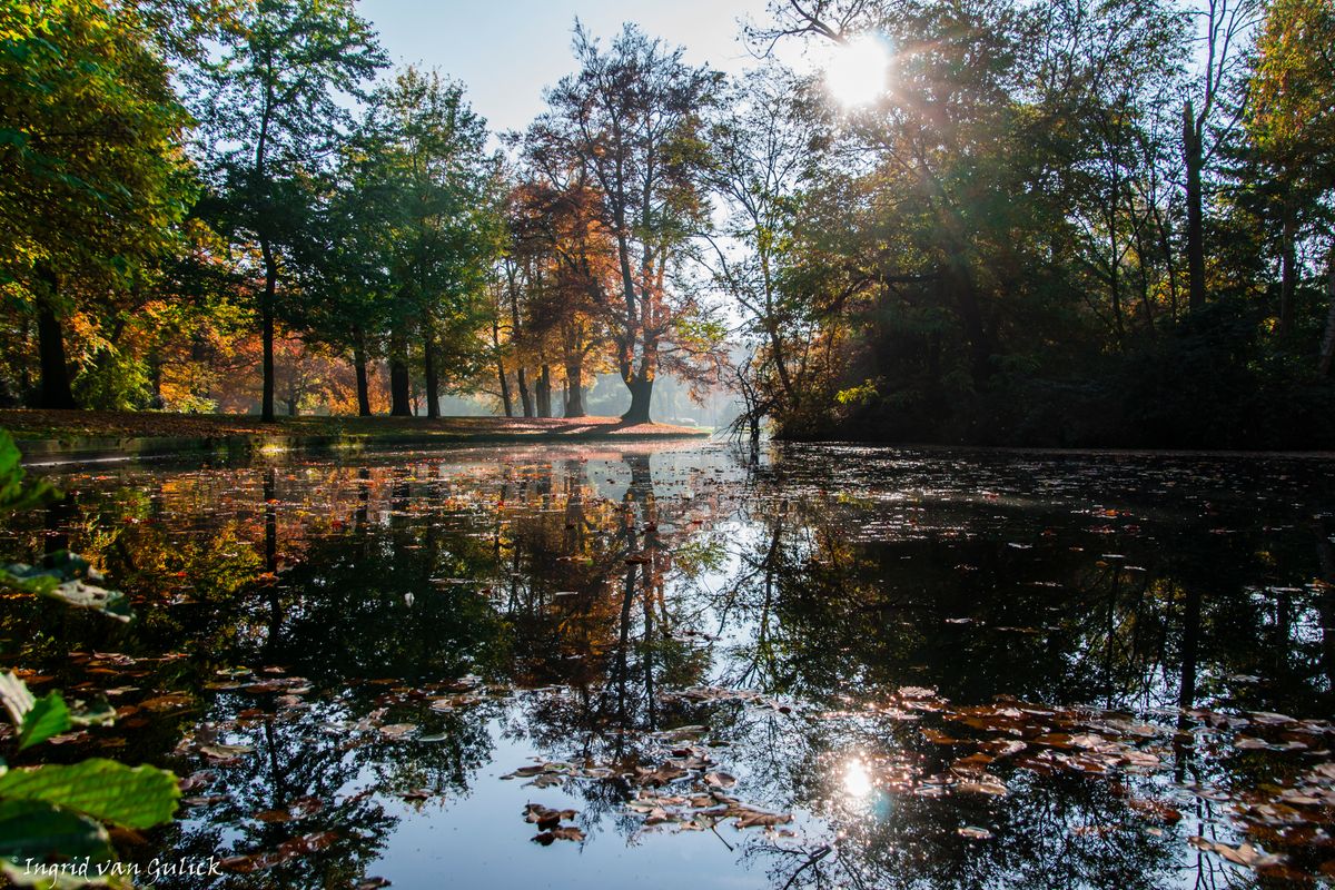 Park Vught