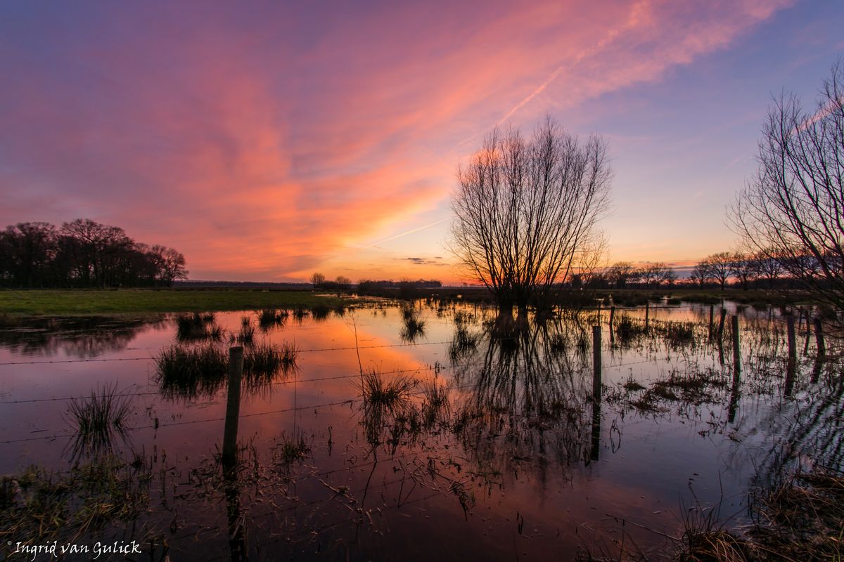 Zonsondergang Den Bosch