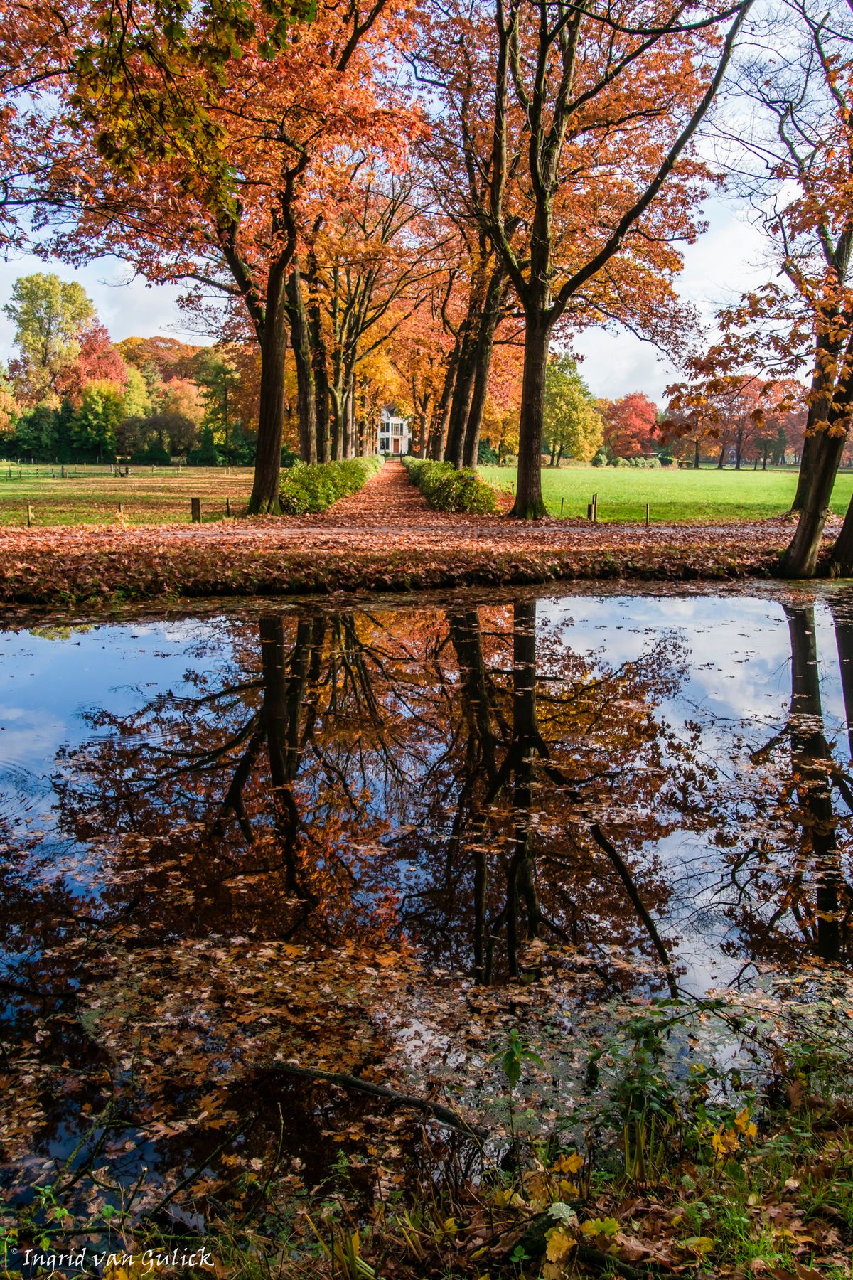 Mooi laantje in de herfst