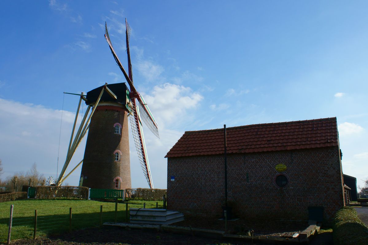 Molen te Kuitaart (Z.VL.)

Dit keer met Image Data Converter omgezet naar JPEG ipv Capture One 8.