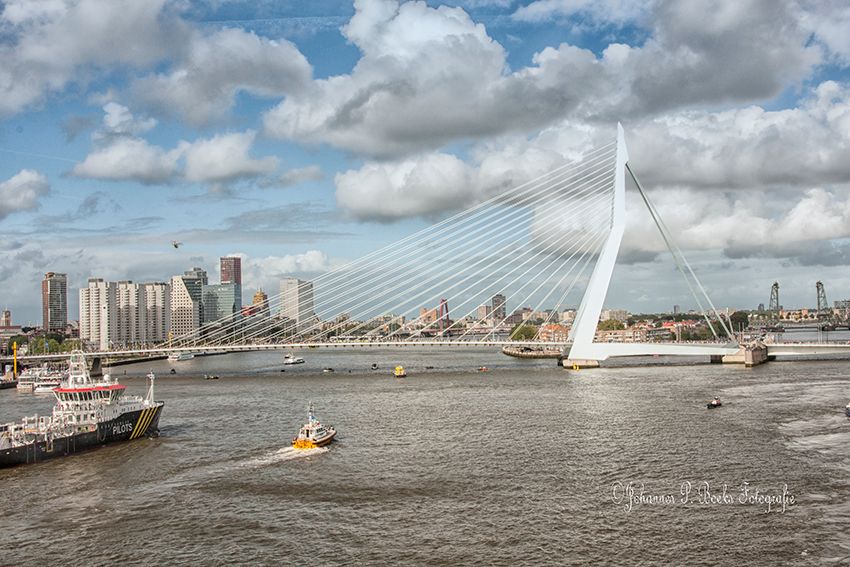 Erasmusbrug Rotterdam