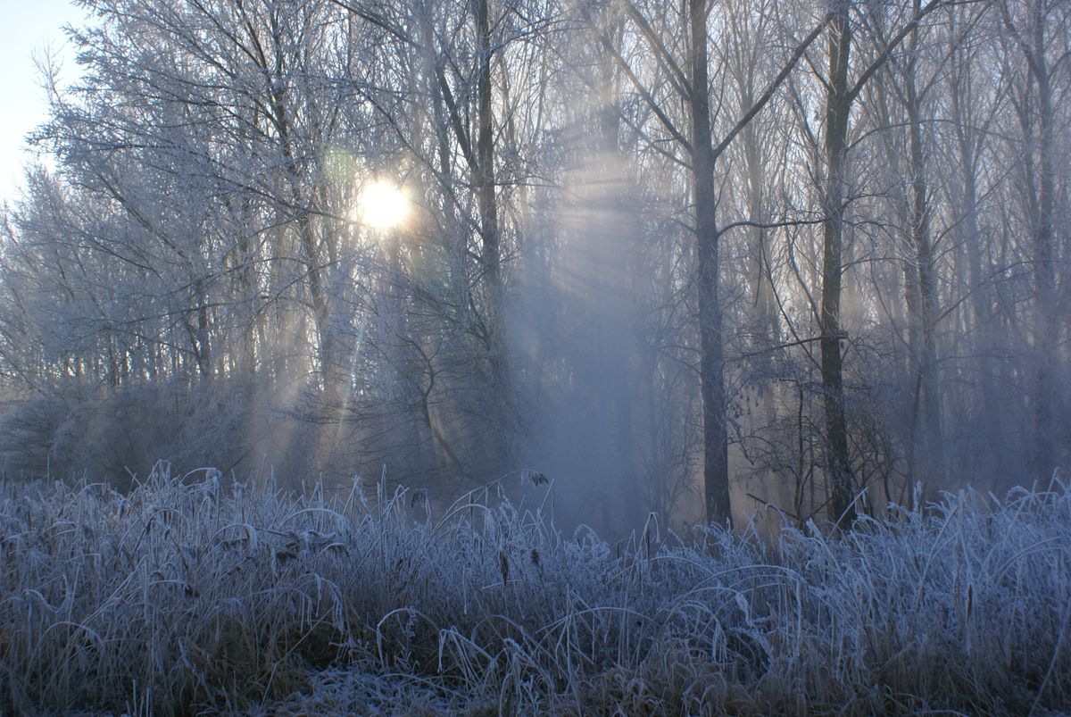 Een windje en de sneeuw valt.