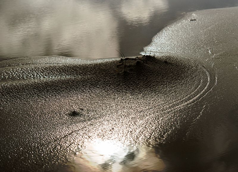 detail van het strand o[ Terschelling in tegenlicht