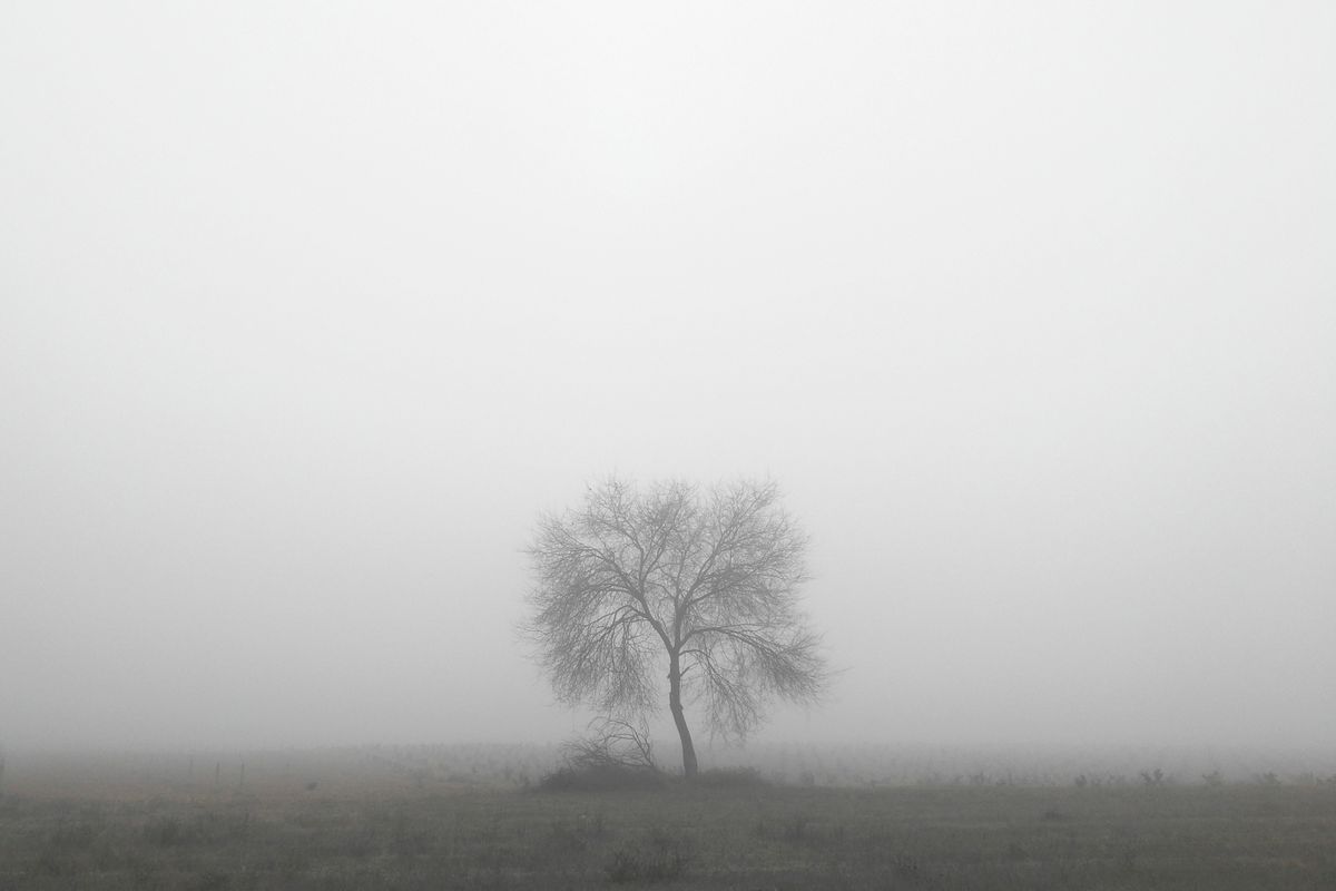 El amanecer invernal en pleno campo suele ser misterioso.