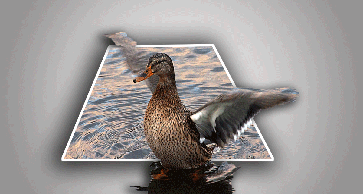 wieder mal eine Spielerei.gif