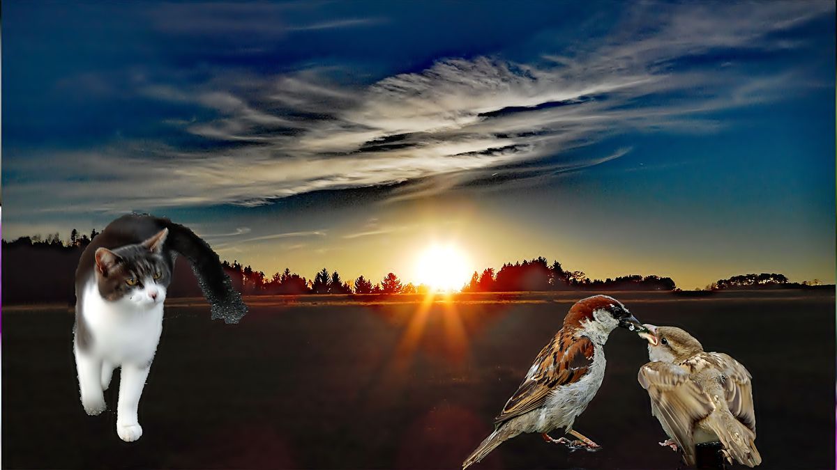 lasst-euch-ruhig-Zeit-ich-suche-nur Mäuse.jpg