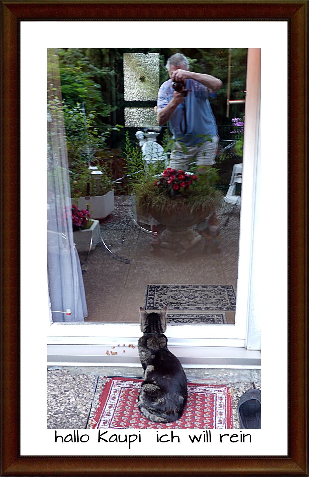 hallo Kaupi  ich will  rein.JPG