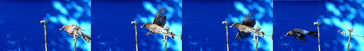 Bilder-aus-mein-Film-mit-bitte Bild auf groß ansehen.jpg