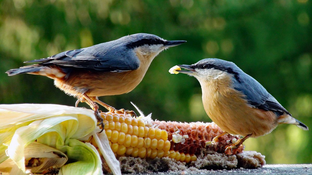 ich bin zu sehen bei YouTube unter W. Kempert.jpg