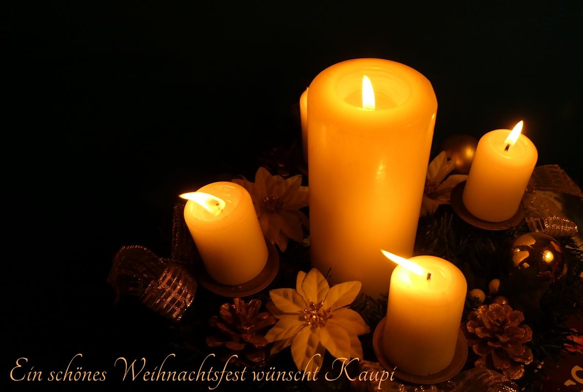 P1120394 Ein schönes Weihnachtsfest wünscht Kaupi.JPG