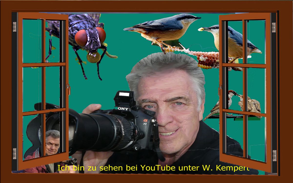 eine-kleine-Spielerei-es-wird-gleich-dunkel-ich-bin-zu-sehen-bei-YouTube-18oox.jpg