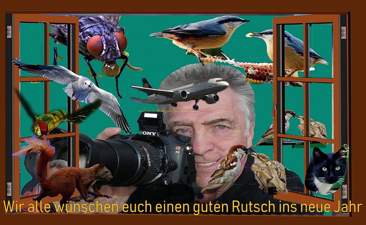 wir-alle-wünschen-euch-einen-guten-Rutsch-ins-neue-.jpg