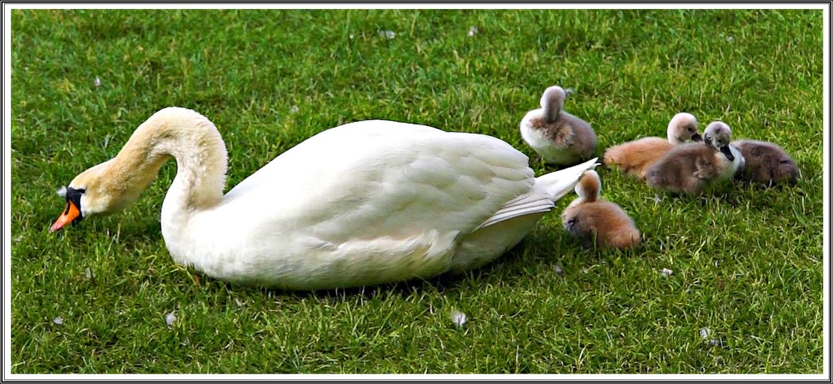 2019-02-16was wird es aus mein Film.jpg