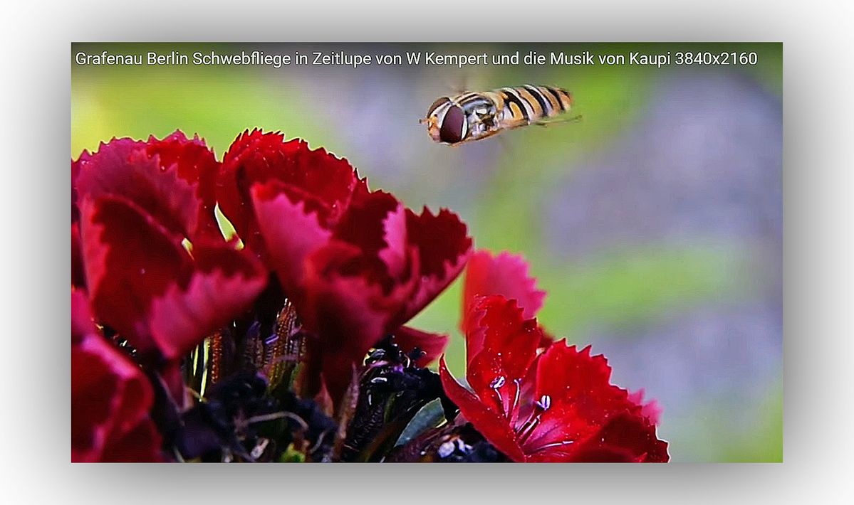 das ist das Bild ist aus mein Film.jpg