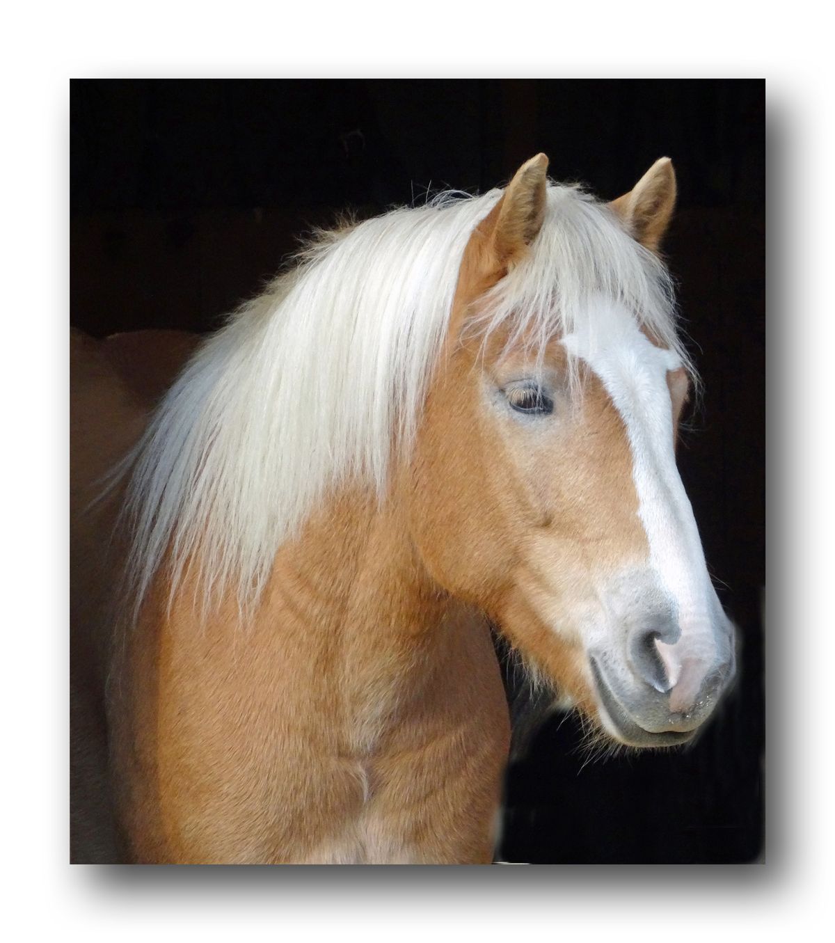 naja, ich sehe ganz gut aus Kaupi.jpg