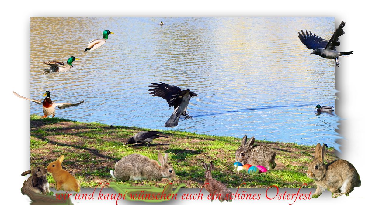 wir und kaupi wünschen euch ein schönes Osterfest.jpg