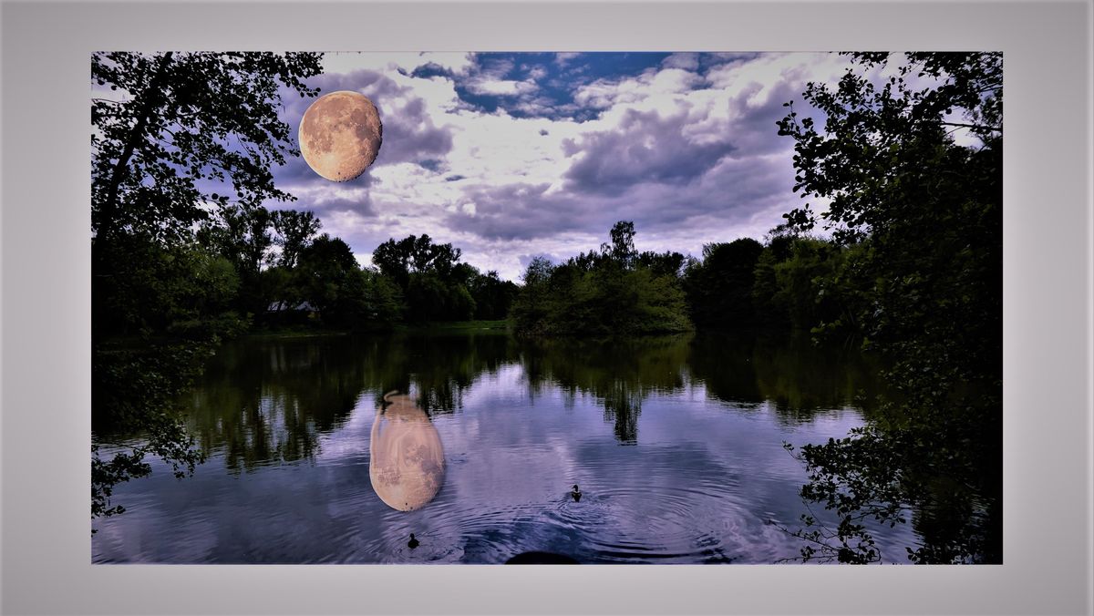 wieder-mal-gespielt (2).jpg