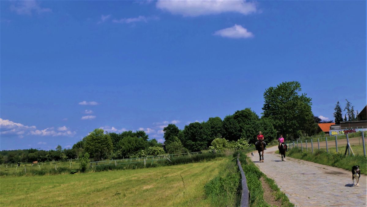 gemütlicher Ausritt in Berlin Lübars.jpg