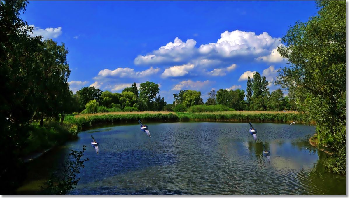 das-Bild-ist-aus-mein-Film2200-mit neu.jpg