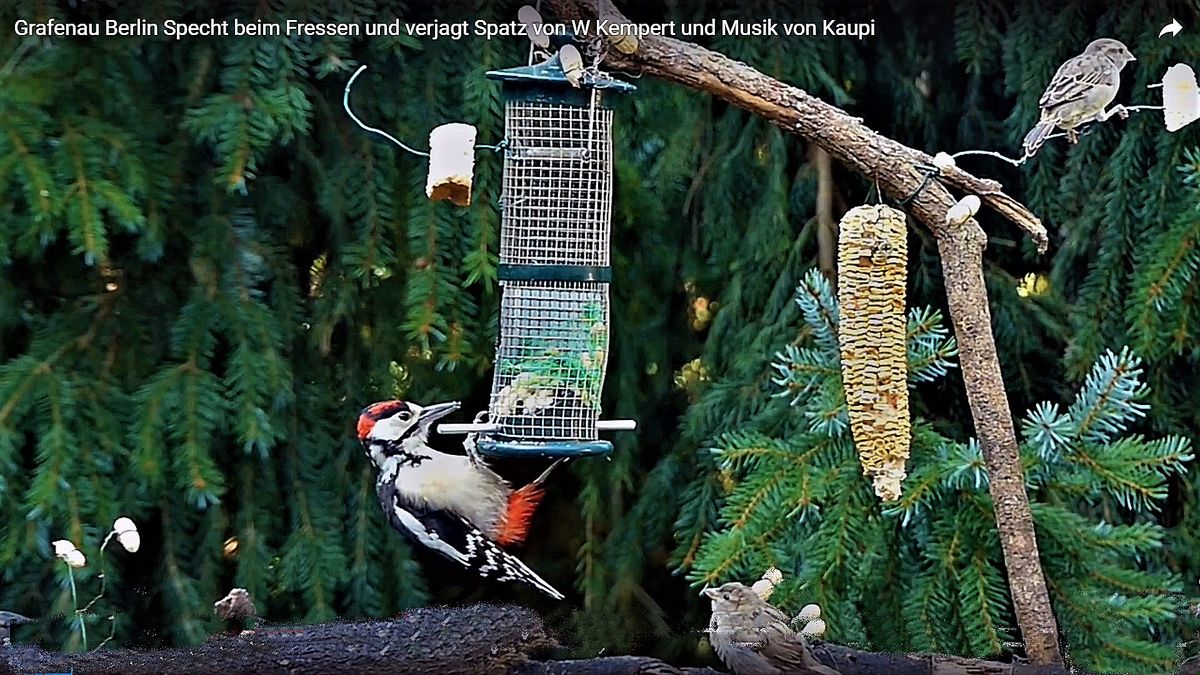 Aus-mein--neu (2).jpg