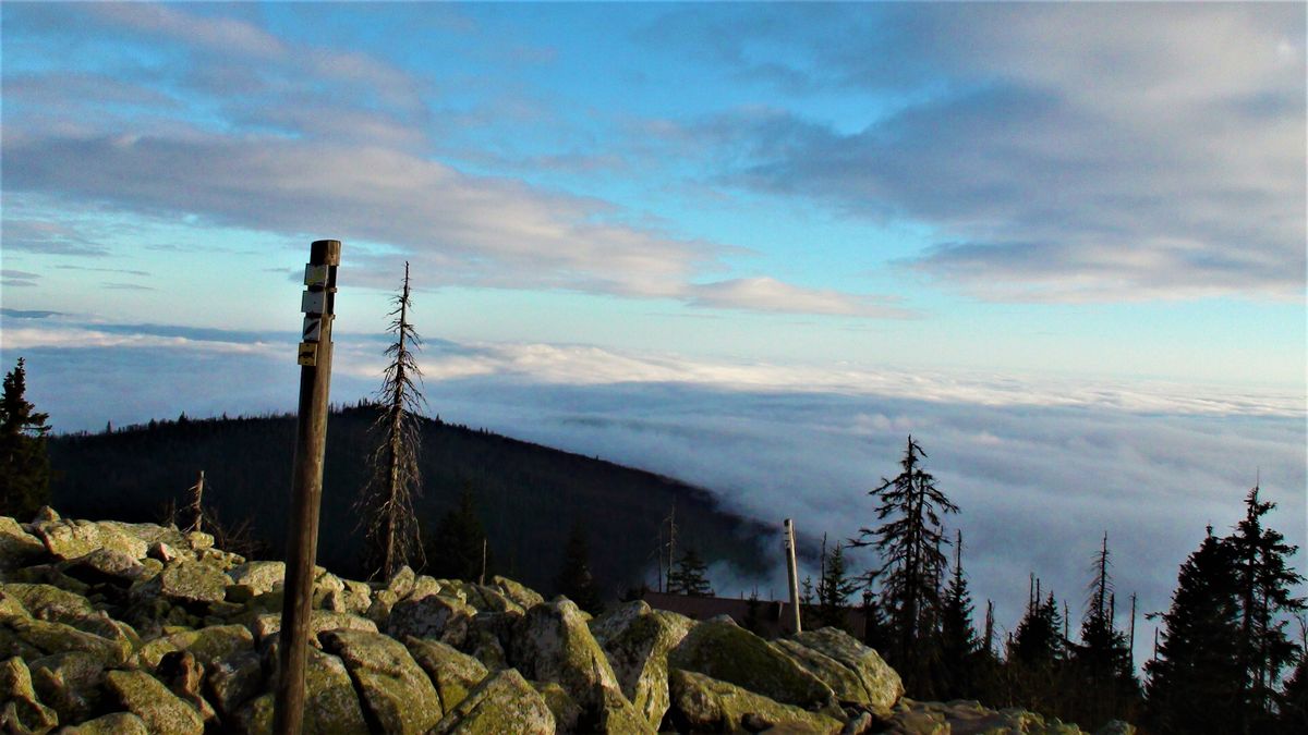Blick vom Lusen im Bayerischen Wald.jpg
