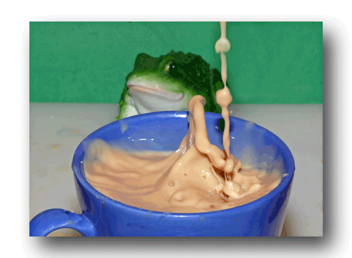 Mensch Kaupi hast du hier wieder rumgesaut.gif