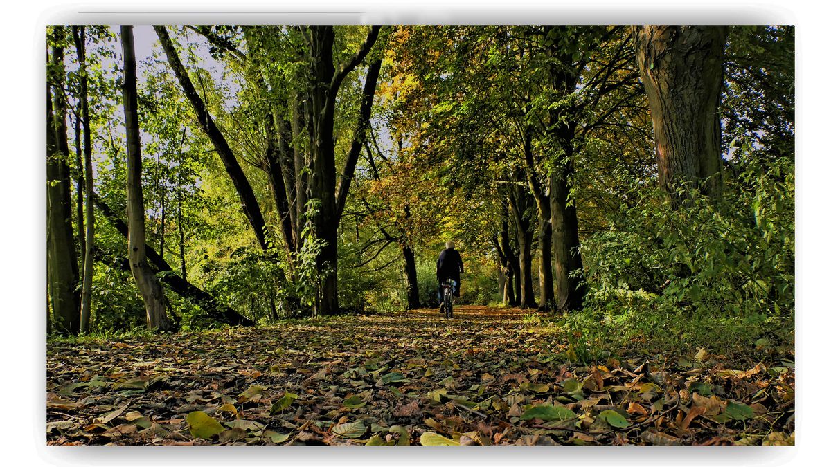 Herbst-mit - Kopie.jpg