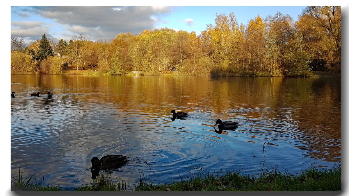in Berlin an einem kleinen See.jpg