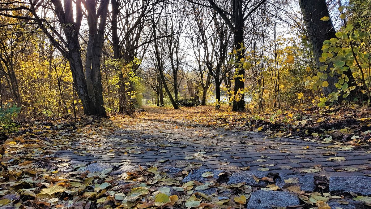 Spaziergang im Park.jpg