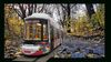 Straßenbahn fährt durch den Park.jpg
