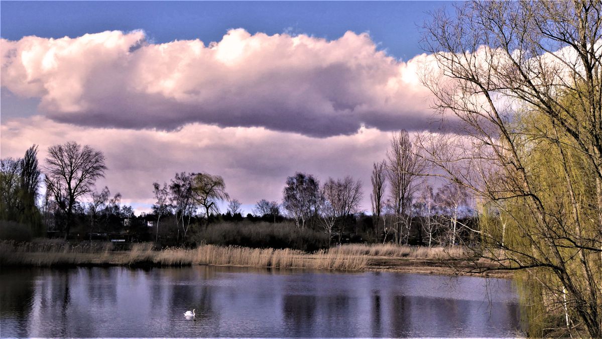 See-in-Berlin-mit-Schwan.jpgSee-in-Berlin-mit-Wolken-verändern (2).jpg