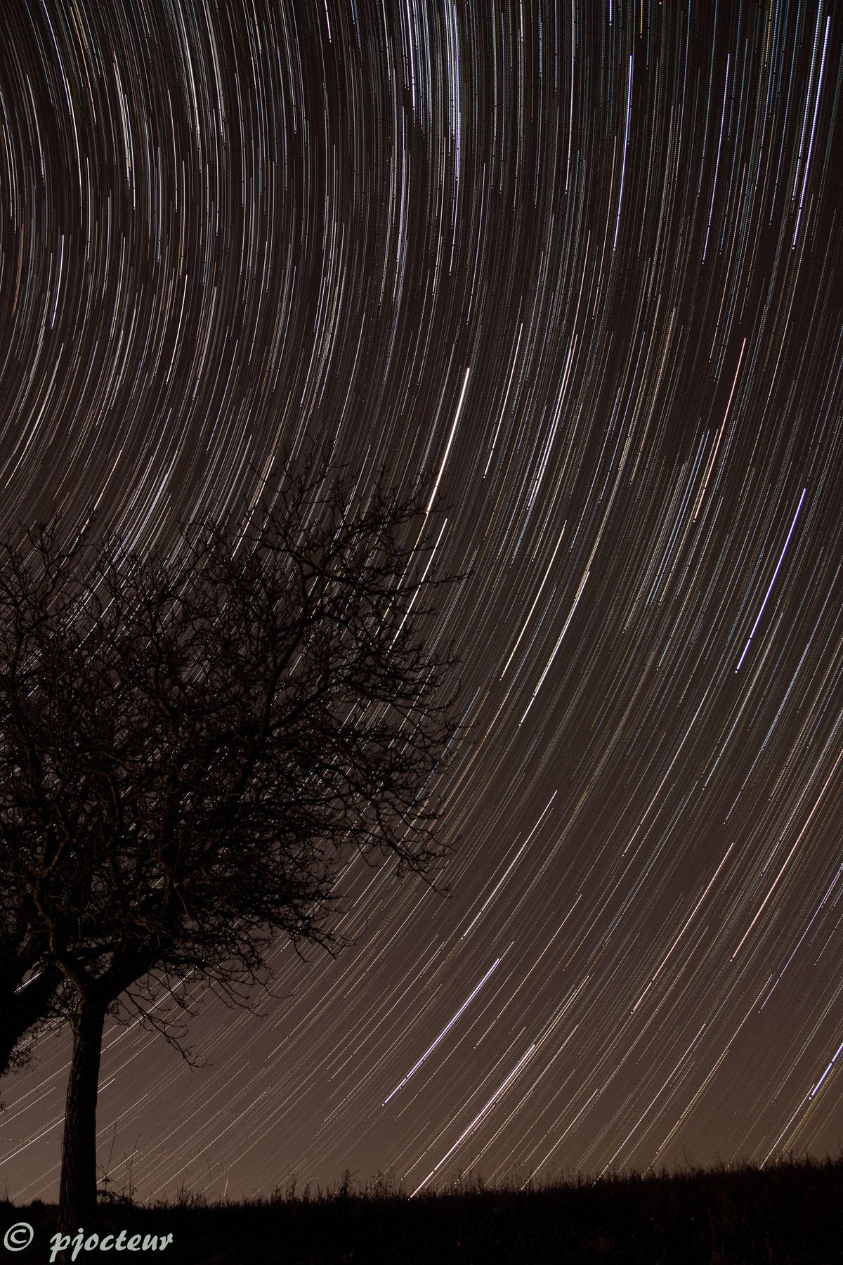 Startrails5.jpg