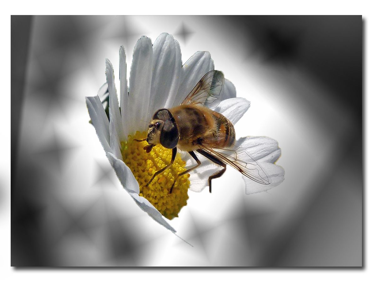 wieder mal eine kleine Spielerei.jpg